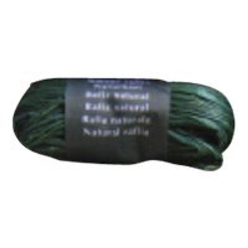 3065501960502-Maildor - Pelote de raphia naturel - ruban d'emballage 50 g - vert sapin-P_196050_1-0