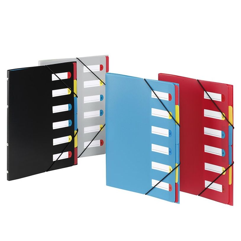 3135251992877-Viquel - Trieur polypro 6 positions - disponible dans différentes couleurs-P_199287_2-0