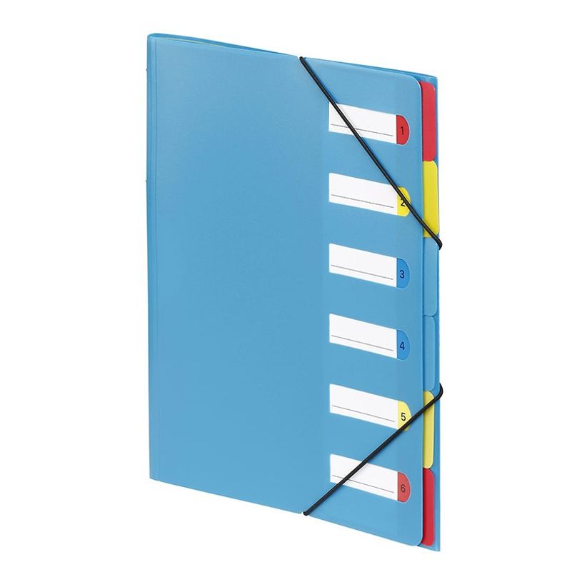 3135251992877-Viquel - Trieur polypro 6 positions - disponible dans différentes couleurs-P_199287_5-3