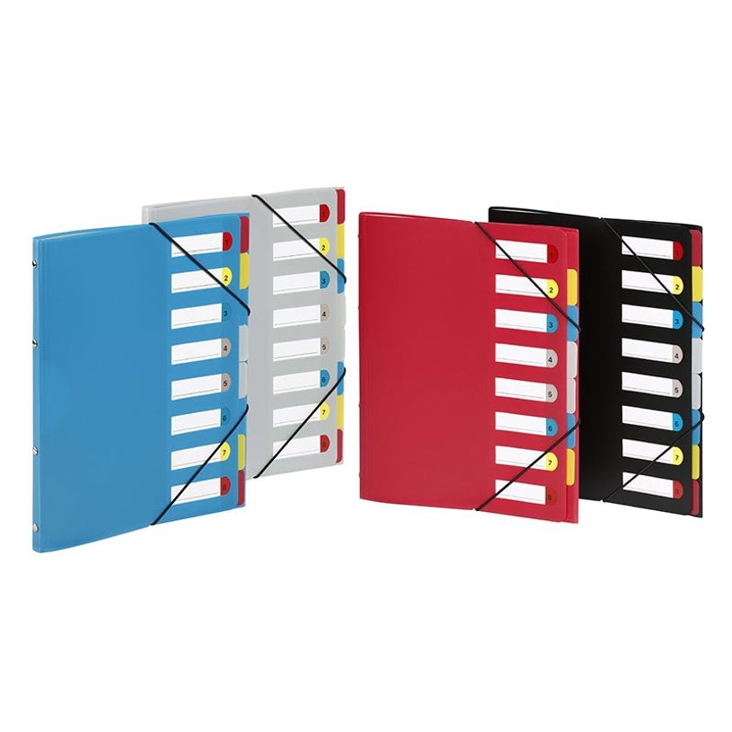 3135251993874-Viquel - Trieur 8 positions - disponible dans différentes couleurs-P_199387_1-0