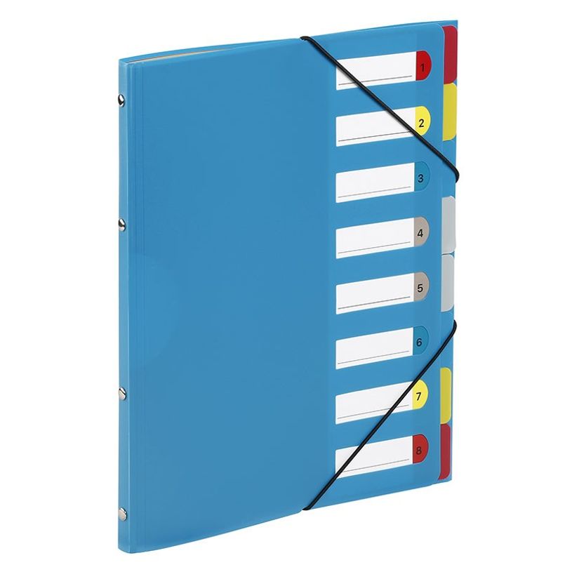 3135251993874-Viquel - Trieur 8 positions - disponible dans différentes couleurs-P_199387_3-2