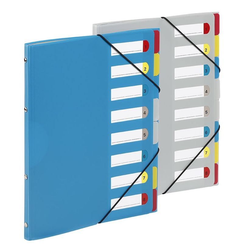 3135251993874-Viquel - Trieur 8 positions - disponible dans différentes couleurs-P_199387_4-3