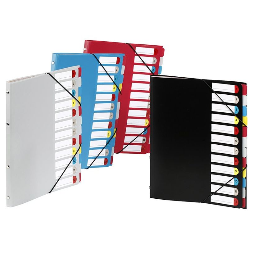 3135251994871-Viquel - Trieur 12 positions - disponible dans différentes couleurs-P_199487_1-0