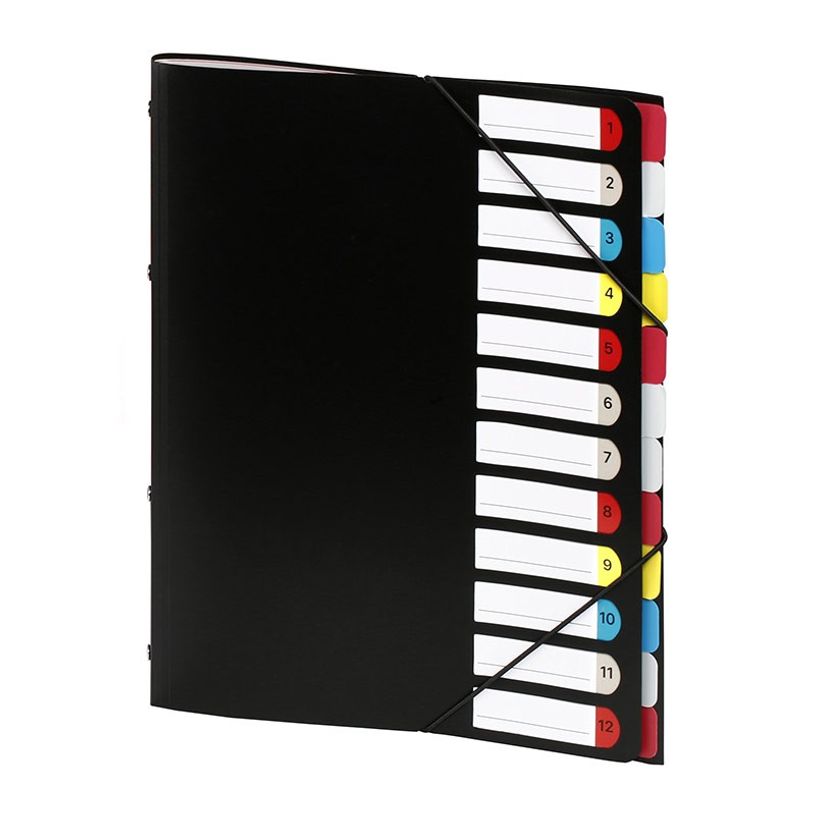 3135251994871-Viquel - Trieur 12 positions - disponible dans différentes couleurs-P_199487_2-1