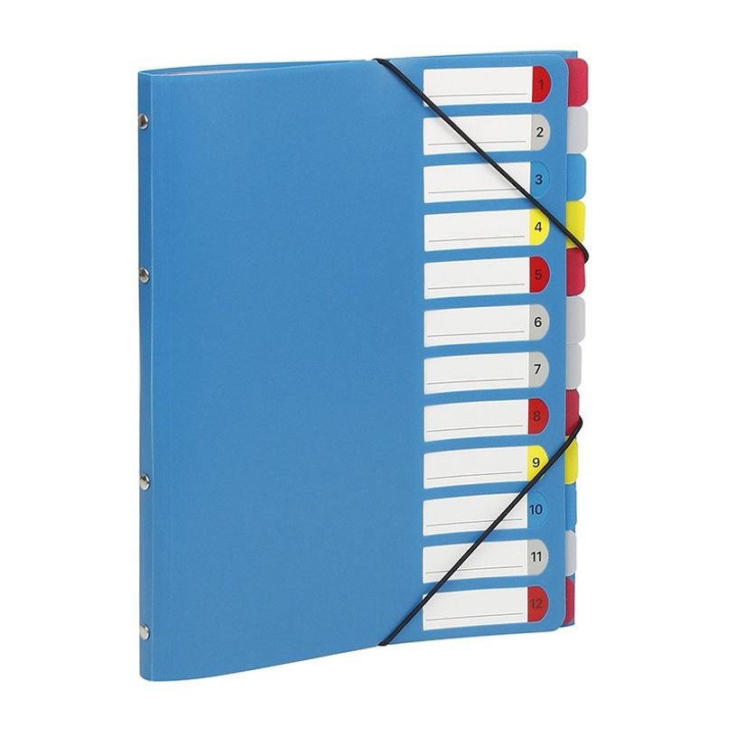 3135251994871-Viquel - Trieur 12 positions - disponible dans différentes couleurs-P_199487_3-2