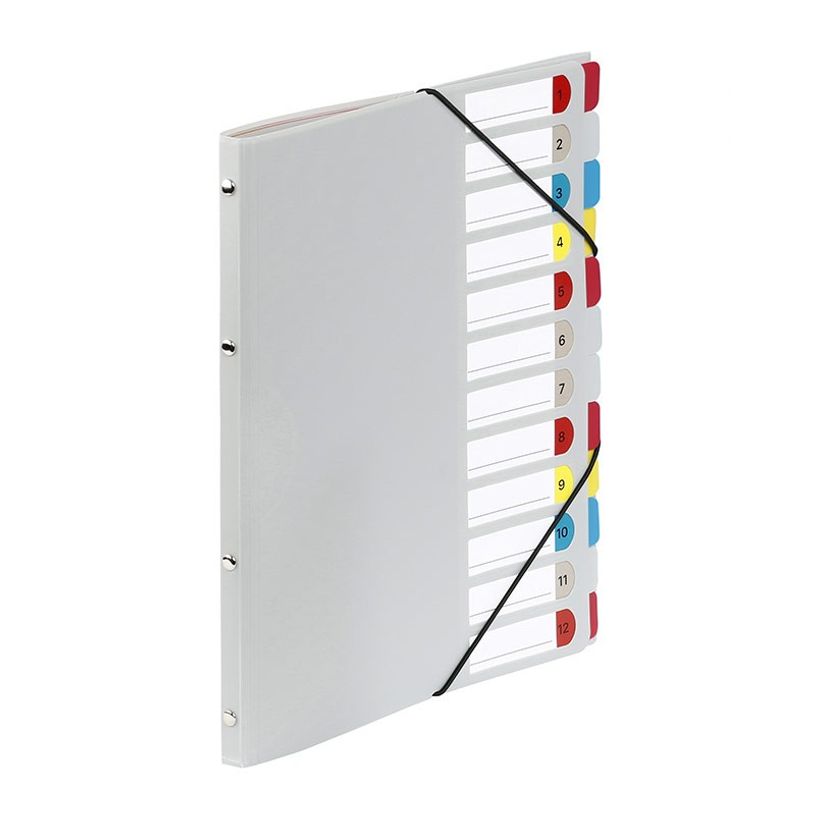 3135251994871-Viquel - Trieur 12 positions - disponible dans différentes couleurs-P_199487_4-3