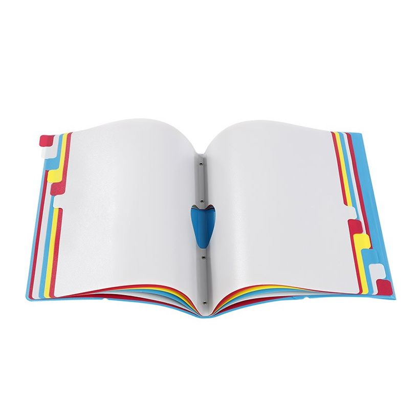 3135251994871-Viquel - Trieur 12 positions - disponible dans différentes couleurs-P_199487_5-4