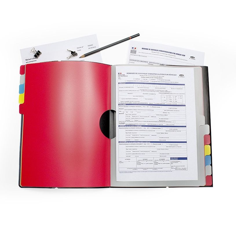 3135251994871-Viquel - Trieur 12 positions - disponible dans différentes couleurs-P_199487_6-5