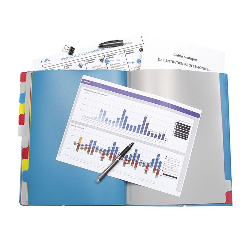 3135251994871-Viquel - Trieur 12 positions - disponible dans différentes couleurs-P_199487_7-6