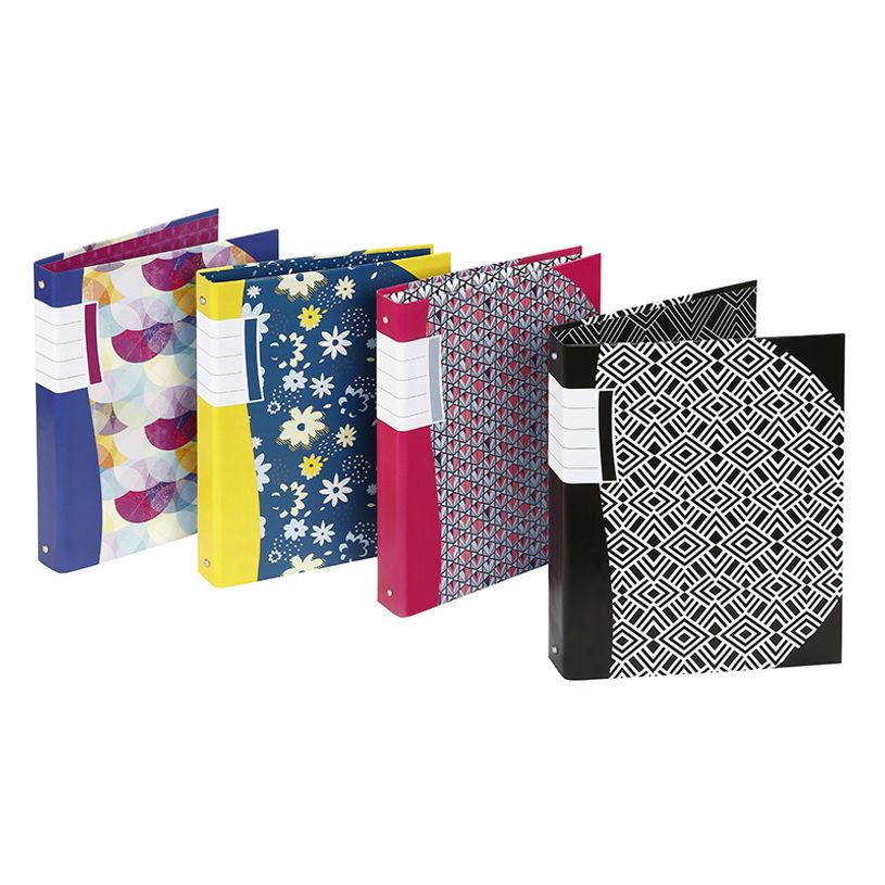 3135252002995-Viquel Fancy - Classeur à anneaux - Dos 40 mm - A4 - pour 225 feuilles - disponible dans dif-P_200299_1-0