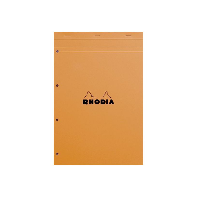 3030920201000-Rhodia Basics - Bloc notes - A4 + - 160 pages - petits carreaux - 80g - perforé-P_201000_2-0