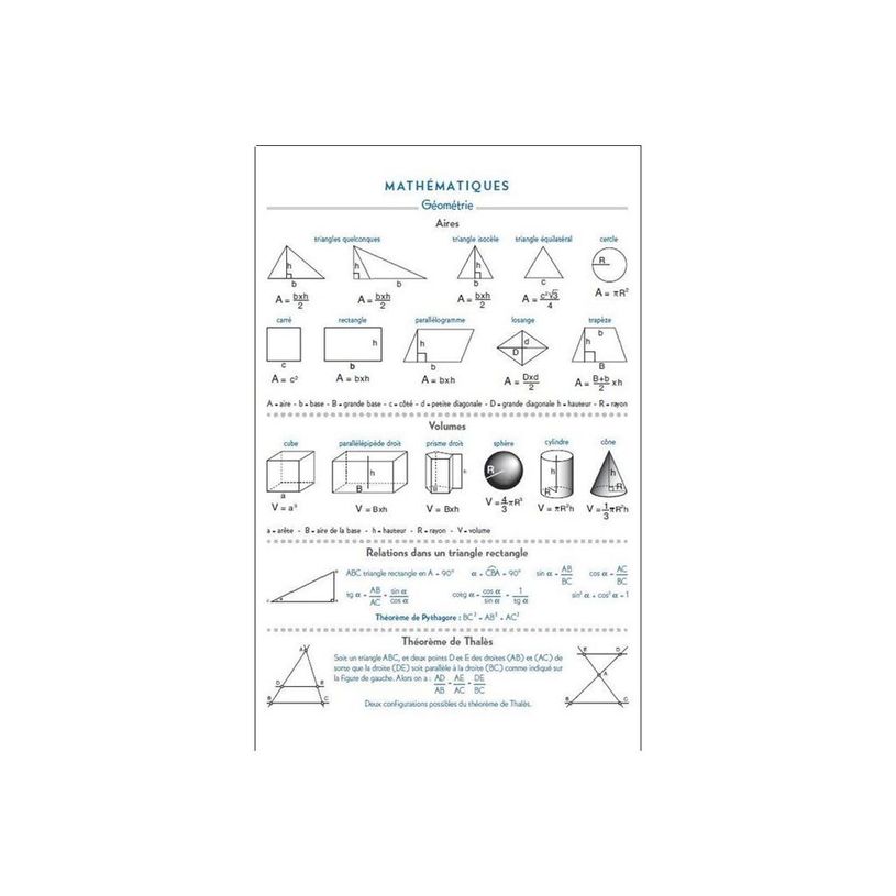 3660942000024-Agenda Winner - 1 jour par page - 12 x 17 cm - disponible dans différentes couleurs - Exa-P_2018412_20-12
