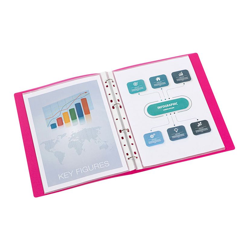 3135250209839-Viquel Propyglass - Classeur à anneaux - Dos 25 mm - A4 - disponible dans différentes couleurs--14