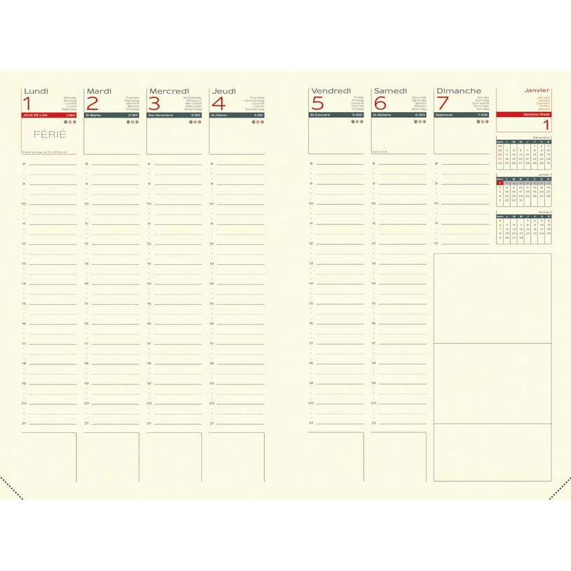 3147281211309-Agenda Lecas Lézard - 1 semaine sur 2 pages - 21 x 27 cm - disponible dans différentes couleurs--1