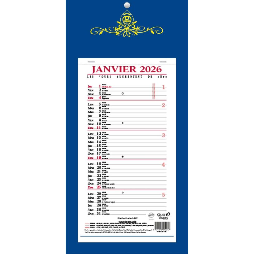 3371010214457-Quo Vadis Skytos - Calendrier bloc mensuel - 20 x 41,5 cm - disponible dans différentes couleurs--1