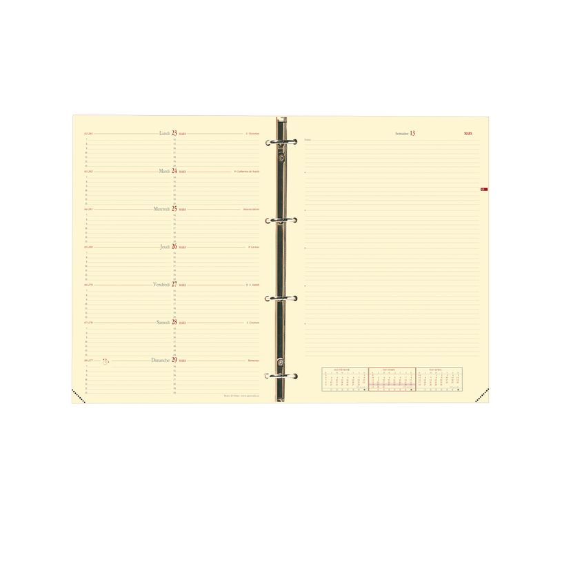 3371010119103-Quo Vadis - Recharge Organiseur - 2026-2027 - Timer 29 Notes Prestige - Semainier Notes - Français - 16 mois de septembre à décembre - 21x29,7 cm - Papier Clairefontaine ivoire - Fabri--0