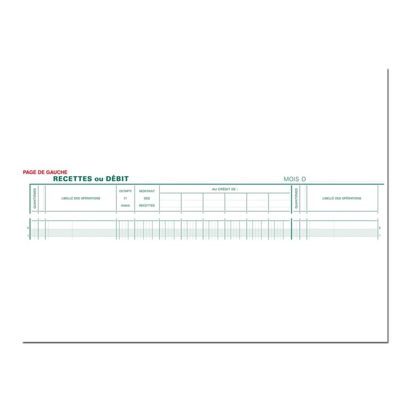 3130632168001-Exacompta - Piqûre Journal de caisse ou banque - 2 libellés : 6 crédits/13 débits - 27 x-P_2816800_1-0