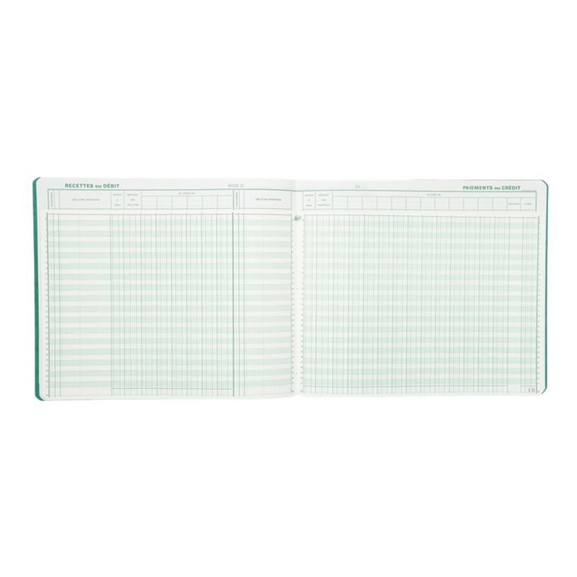 3130632168001-Exacompta - Piqûre Journal de caisse ou banque - 2 libellés : 6 crédits/13 débits - 27 x-P_2816800_2-1