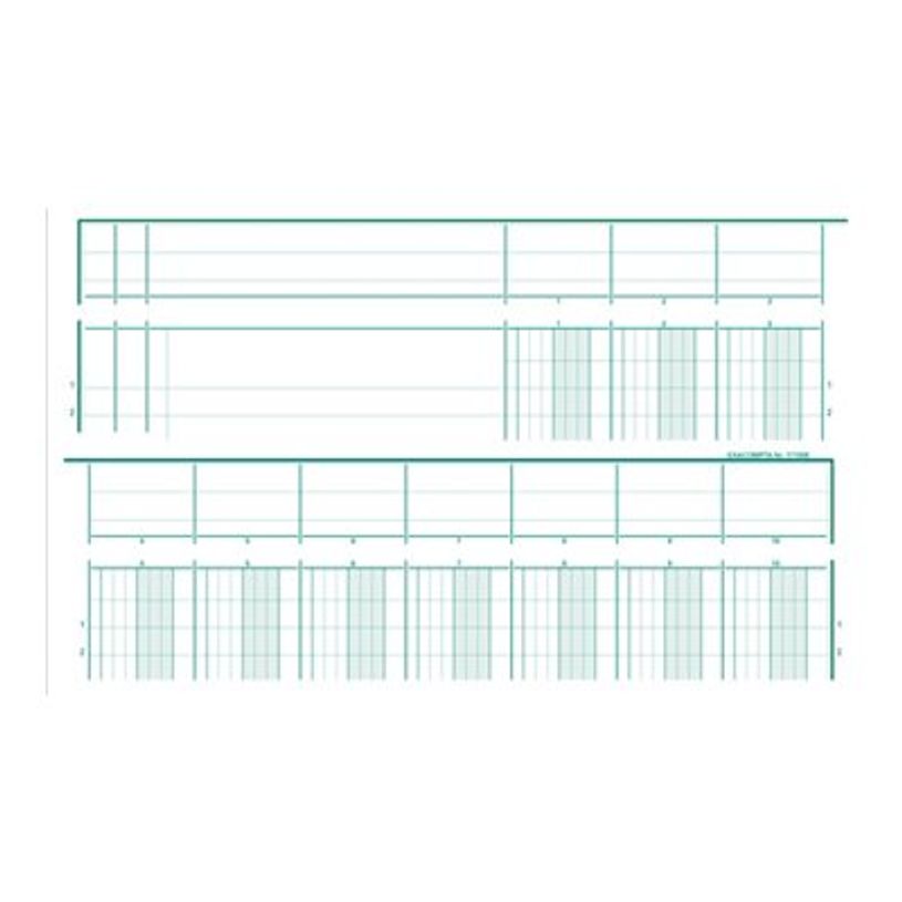 3130632171001-Exacompta - Piqûre tête paresseuse - 10 colonnes sur 2 pages - A4-P_2817100_1-0