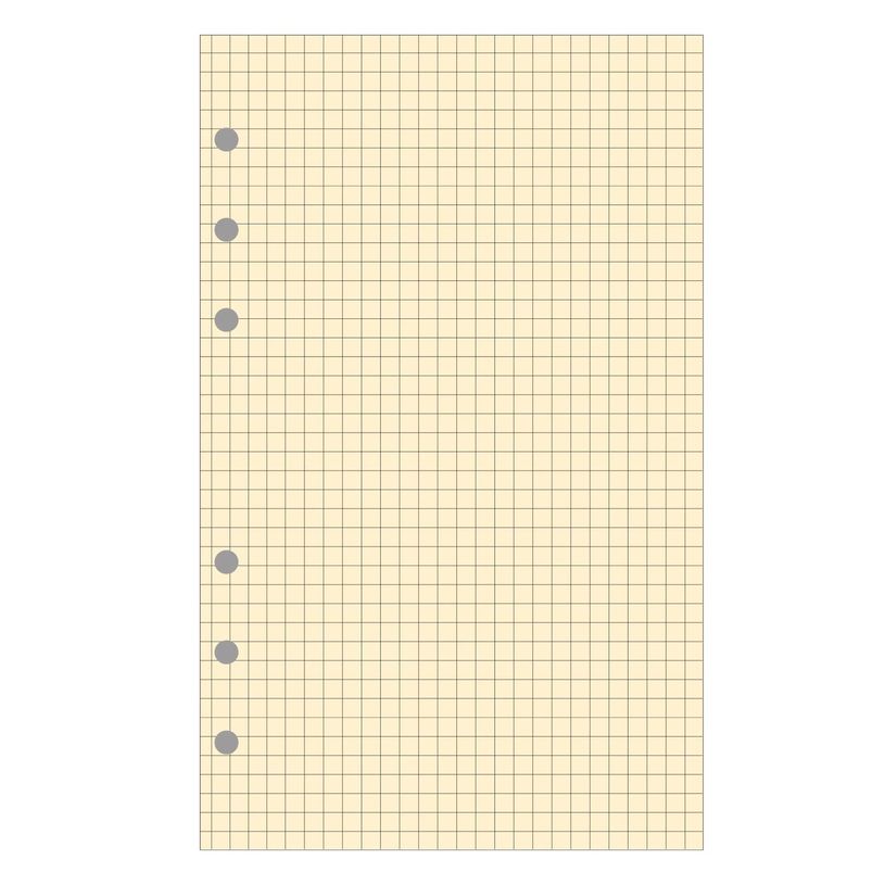 3130630282112-Exacompta Exatime 21 - Recharge pour organiseur - bloc note quadrillé - 14,2 x 21 cm--0
