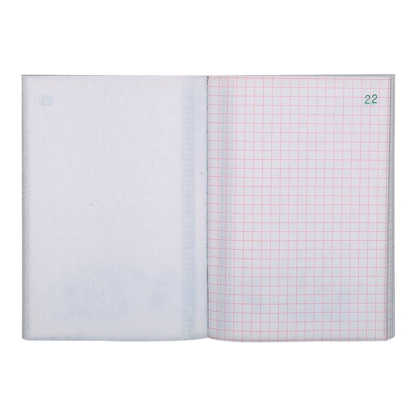 3130630032410-Exacompta - Manifold quadrillé 5x5 - 50 tripli - 15 x 10,5 cm-P_283241_3-2