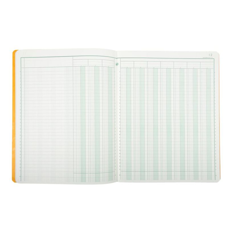 3130632041007-Exacompta - Piqûre comptable - 10 colonnes sur 2 pages - 32 x 25 cm - 80 pages-P_284100_3-1