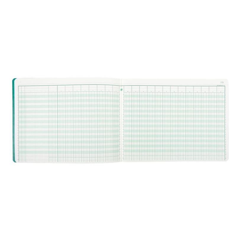 3130632062200-Exacompta - Piqûre comptable - 22 colonnes sur 2 pages - 25 x 32 cm - 80 pages-P_286220_2-1
