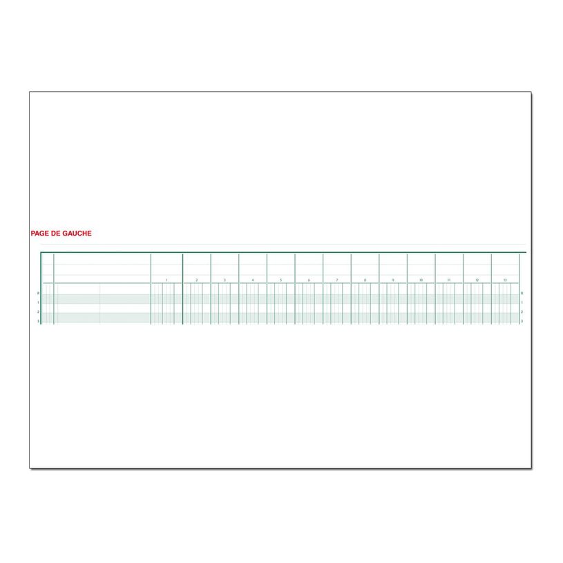 3130632063009-Exacompta - Piqûre comptable - 30 colonnes sur 2 pages - 25 x 32 cm - 80 pages-P_286300_3-2