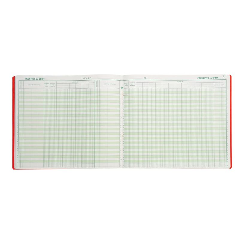 3130632068004-Exacompta - Journal de caisse ou banque - 19 colonnes : 13 débits/6 crédits - 27 x 32 cm ho-P_286800_2-1