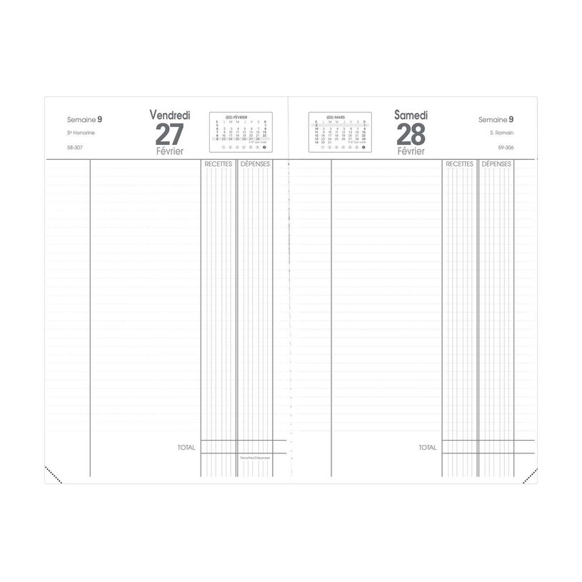 400002910824-Quo Vadis - Agenda - Recettes/Dépenses - Journalier - Français - Vanolin - 12 mois de janvier à décembre - 13x21 cm - Papier Clairefontaine blanc - Fabric--0