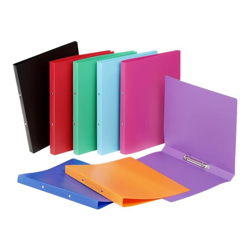 3135252020876-Viquel Essentiel Recycle - classeur à anneaux - pour A4 - capacité : 100 feuilles - disp-P_300002469_2-0