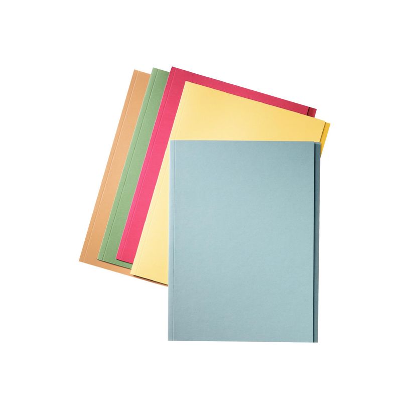 5411313603249-Esselte Manilla - 100 Chemises à onglets - vert-P_300006374_1-0