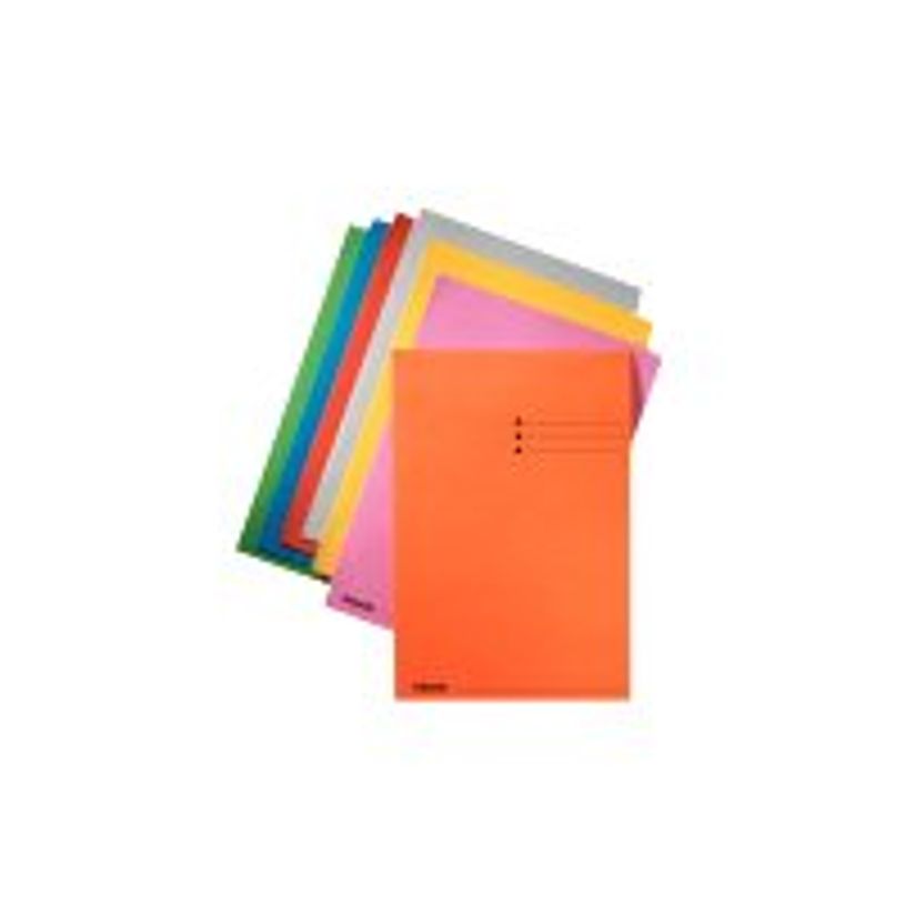 5411313895781-Esselte Manilla - Classeur à attaches A4 - bleu-P_300006393_1-0