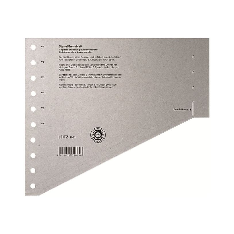 4002432473823-Leitz - intercalaire - pour A4 - gris-P_300018816_4-0