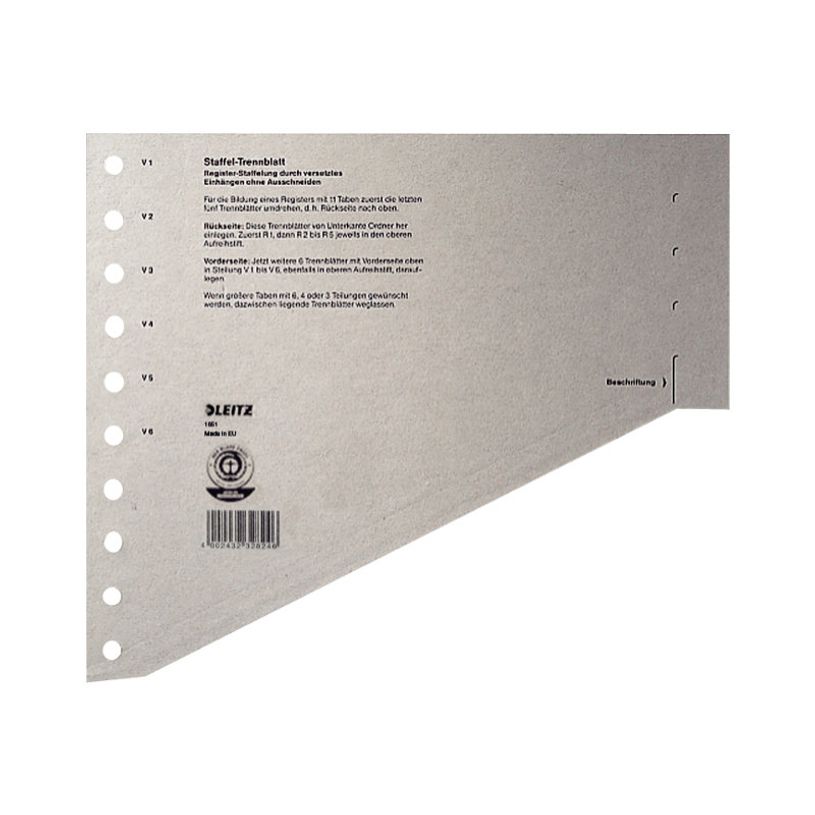 4002432473823-Leitz - intercalaire - pour A4 - gris-P_300018816_5-1