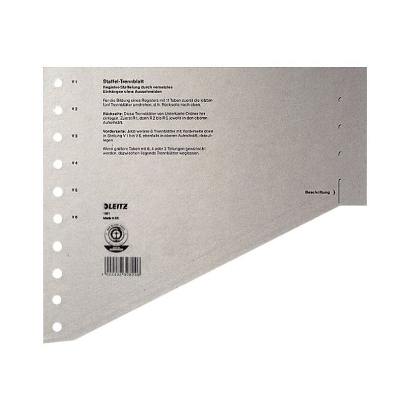 4002432473823-Leitz - intercalaire - pour A4 - gris-P_300018816_6-2