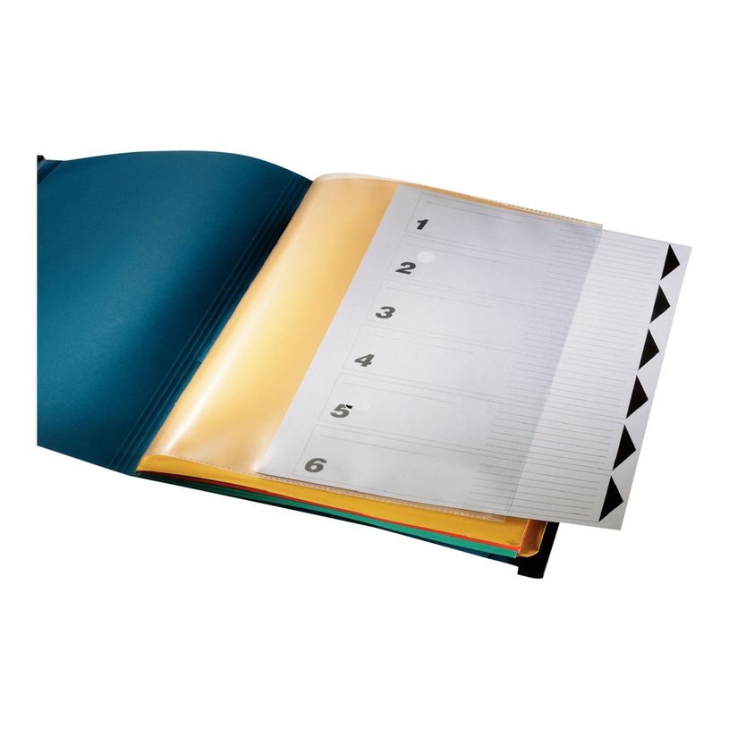 4002432358960-Leitz ALPHA - dossier suspendu - pour A4 - à onglets - bleu-P_300019562_2-4