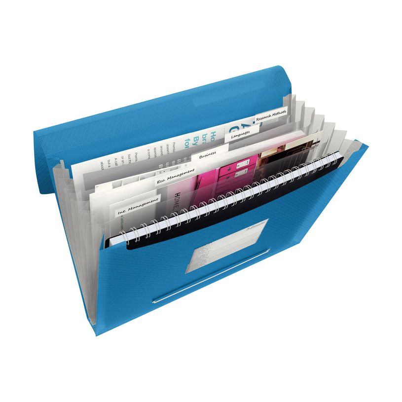 4049793028378-Esselte Vivida - valisette - pour A4 - capacité : 300 feuilles - à onglets - transparent-P_300019814_1-1