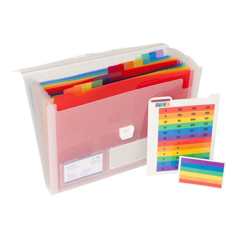 3130630552987-Exacompta Crystal - Valisette trieur à soufflet 13 comp - A4 - à onglets - blanc transpa-P_300025114_2-1