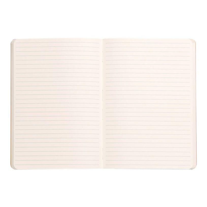 3037921174098-RHODIA Rhodiarama - cahier de notes - A5 - 80 feuilles-P_300025499_1-1