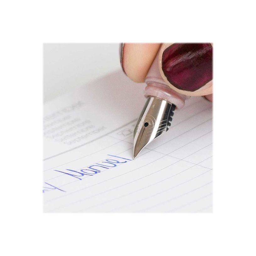 4004675126481-Schneider Ceod Shiny - Stylo plume - pointe moyenne - rose-P_300029031_3-2