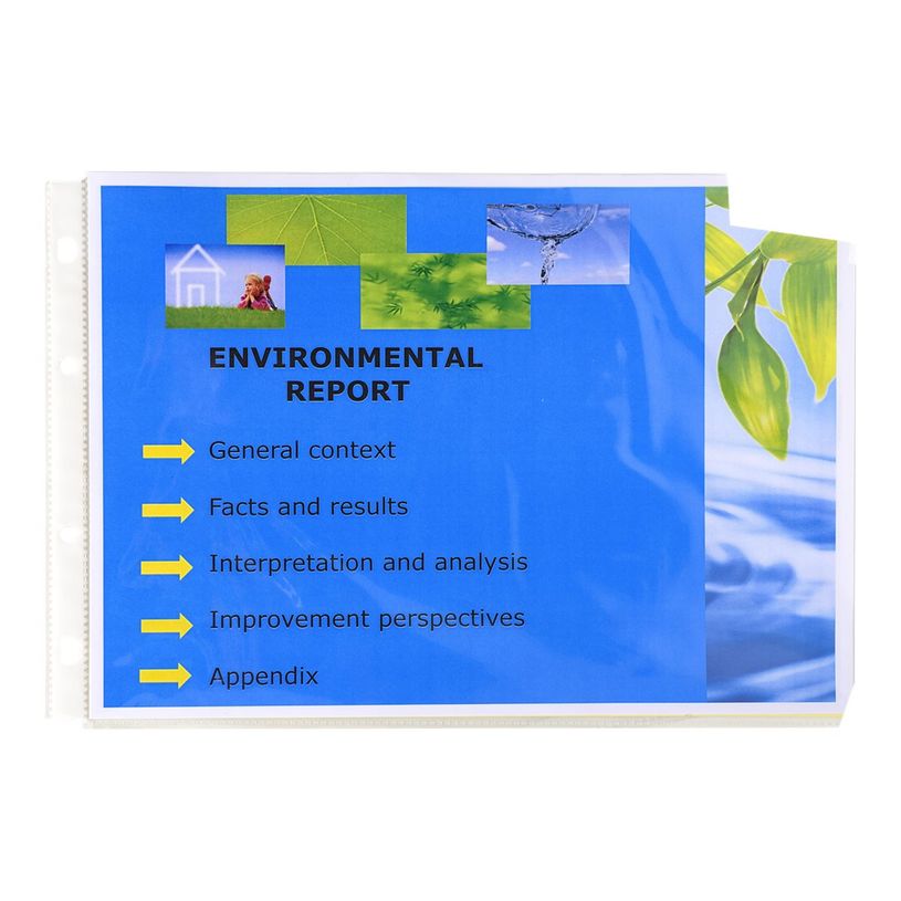 3130630057345-Exacompta Exactive - 20 Pochettes perforées - A4 paysage - cristal-P_300029858_1-0