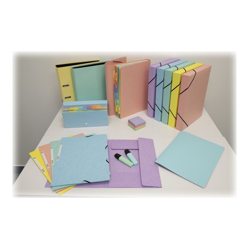 3130630545606-Exacompta Aquarel - classeur à anneaux - pour A4 - capacité : 230 feuilles - assorti p-P_300029866_13-12