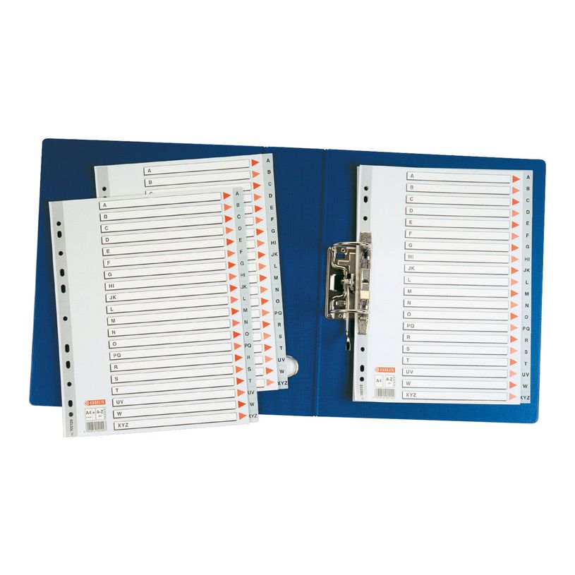 5902812001297-Esselte - intercalaire - A4 Maxi - à onglets - gris-P_300034335_2-1