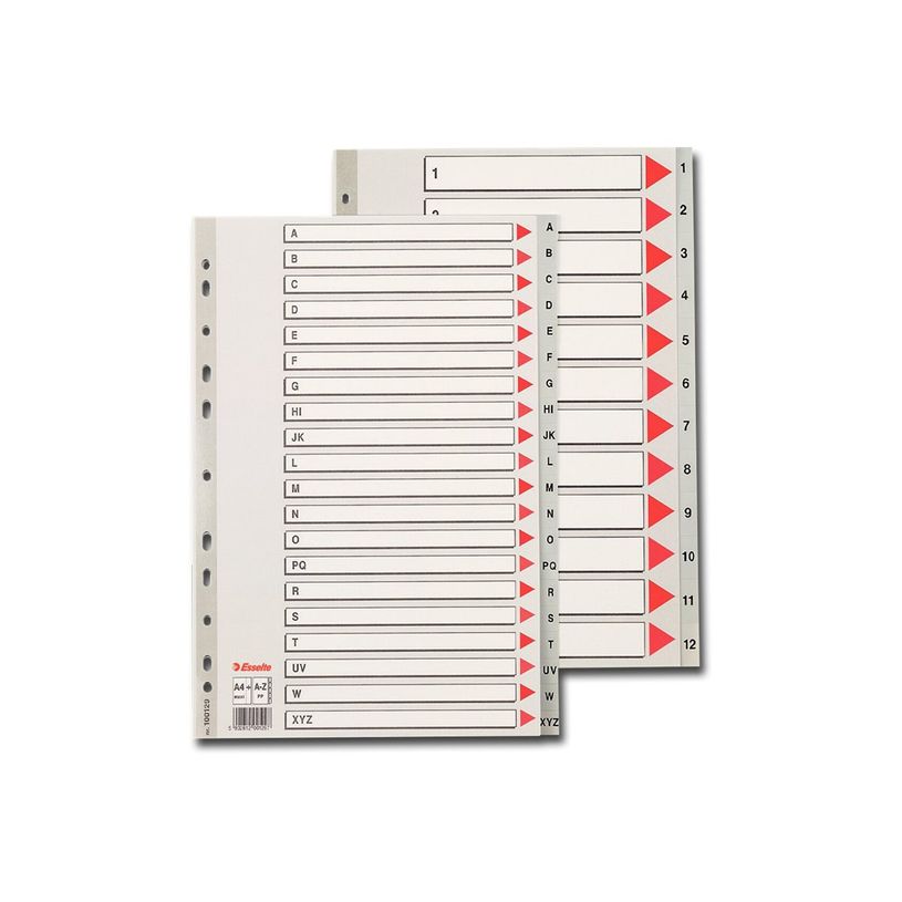 5902812001297-Esselte - intercalaire - A4 Maxi - à onglets - gris-P_300034335_3-0