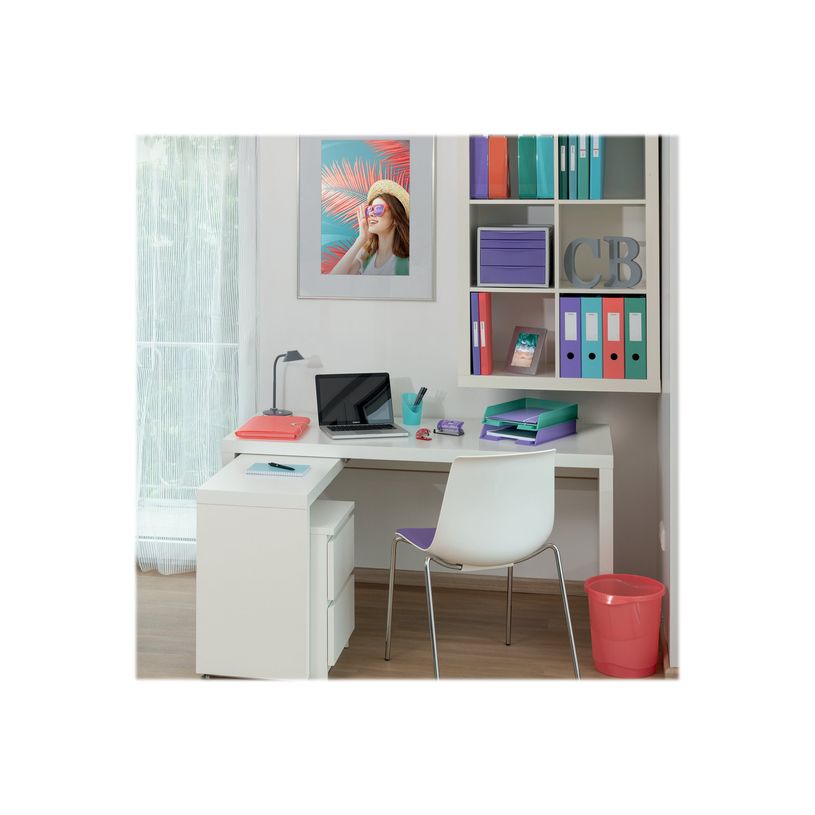 4049793059303-Esselte Colour'Ice - classeur à anneaux personnalisable - A4 - pour 190 feuilles-P_300034399_3-2