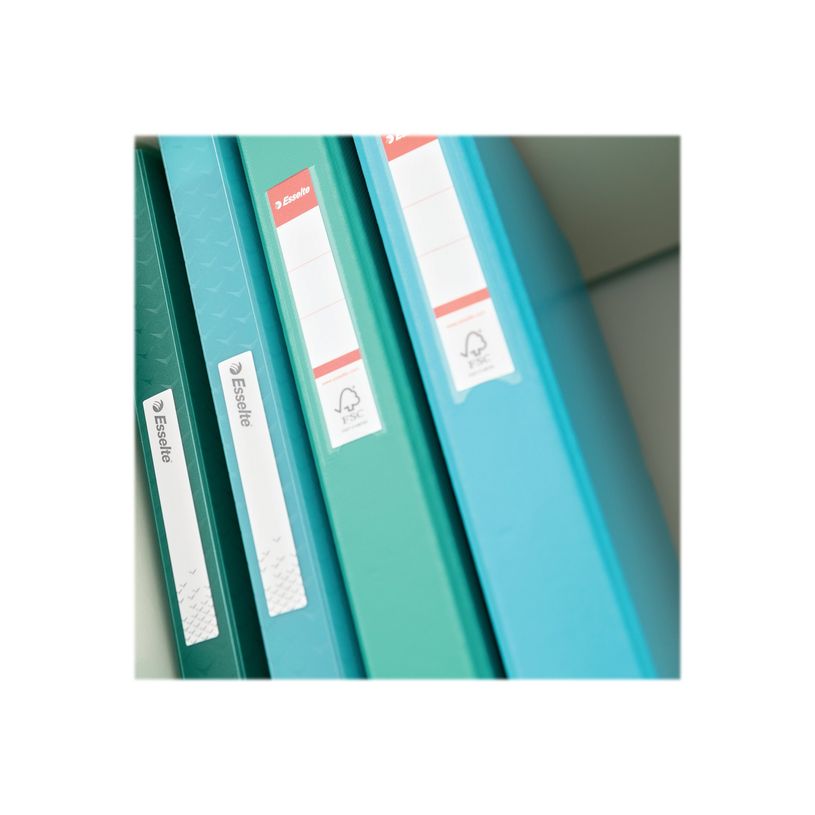 4049793059303-Esselte Colour'Ice - classeur à anneaux personnalisable - A4 - pour 190 feuilles-P_300034399_4-3