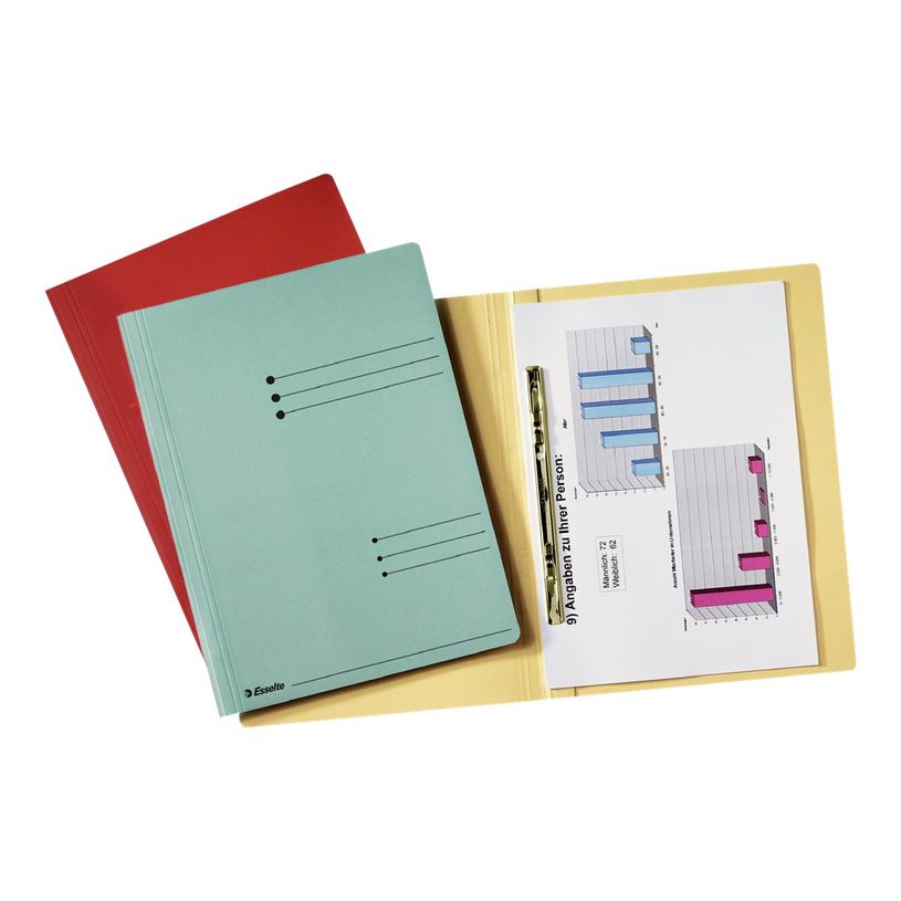 5411313603294-Esselte - chemise à lamelle - A4 - chamois-P_300034422_2-1