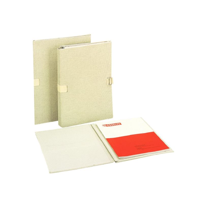 5411313603867-Esselte - classeur à attaches - Folio - gris-P_300034444_1-0