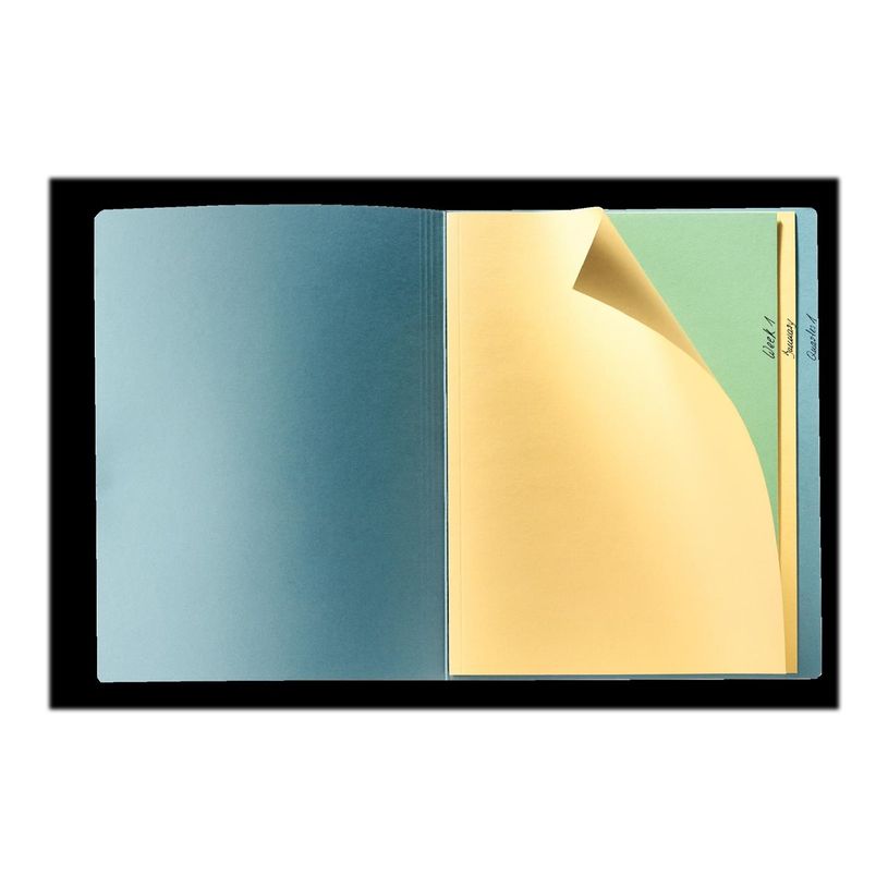 5411313895477-Esselte - chemise - A4 - chamois-P_300034476_2-1